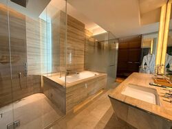 Ardmore Residence (D10), Condominium #533805021